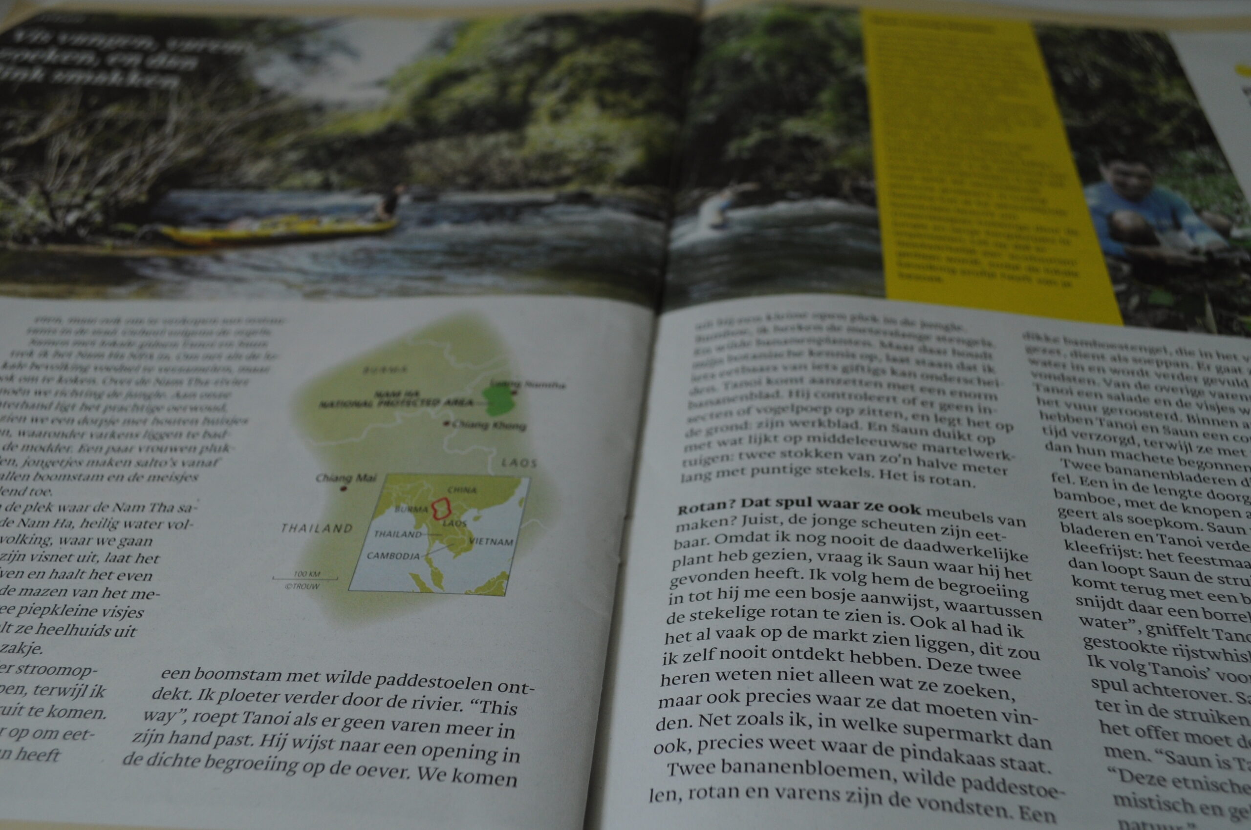 Een foto van het artikel 'Vis vangen, varens zoeken en dan flink smakken' in Trouw.